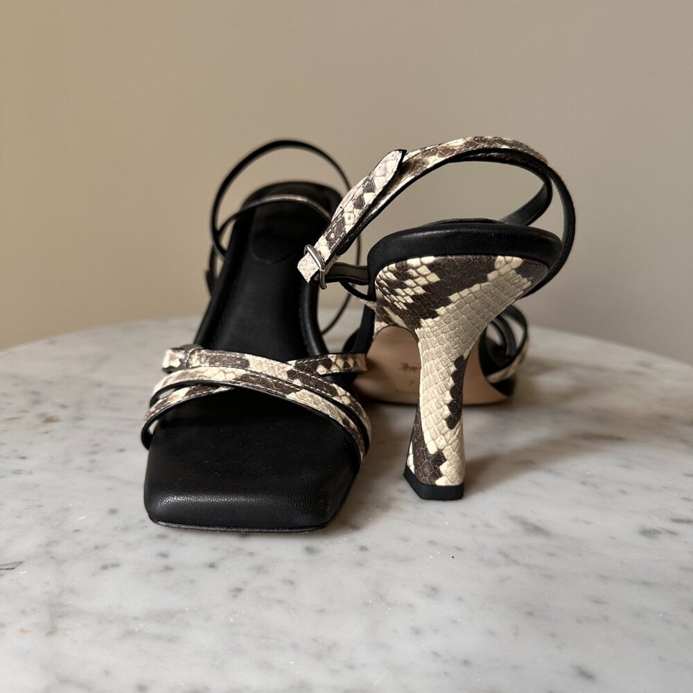 COACH | Grey Snakeskin Sculpted C Kitten Heels  with Square Toe  7.5- Elegant - Picture 6 of 13